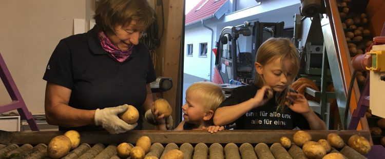 Handverlesen sortiert