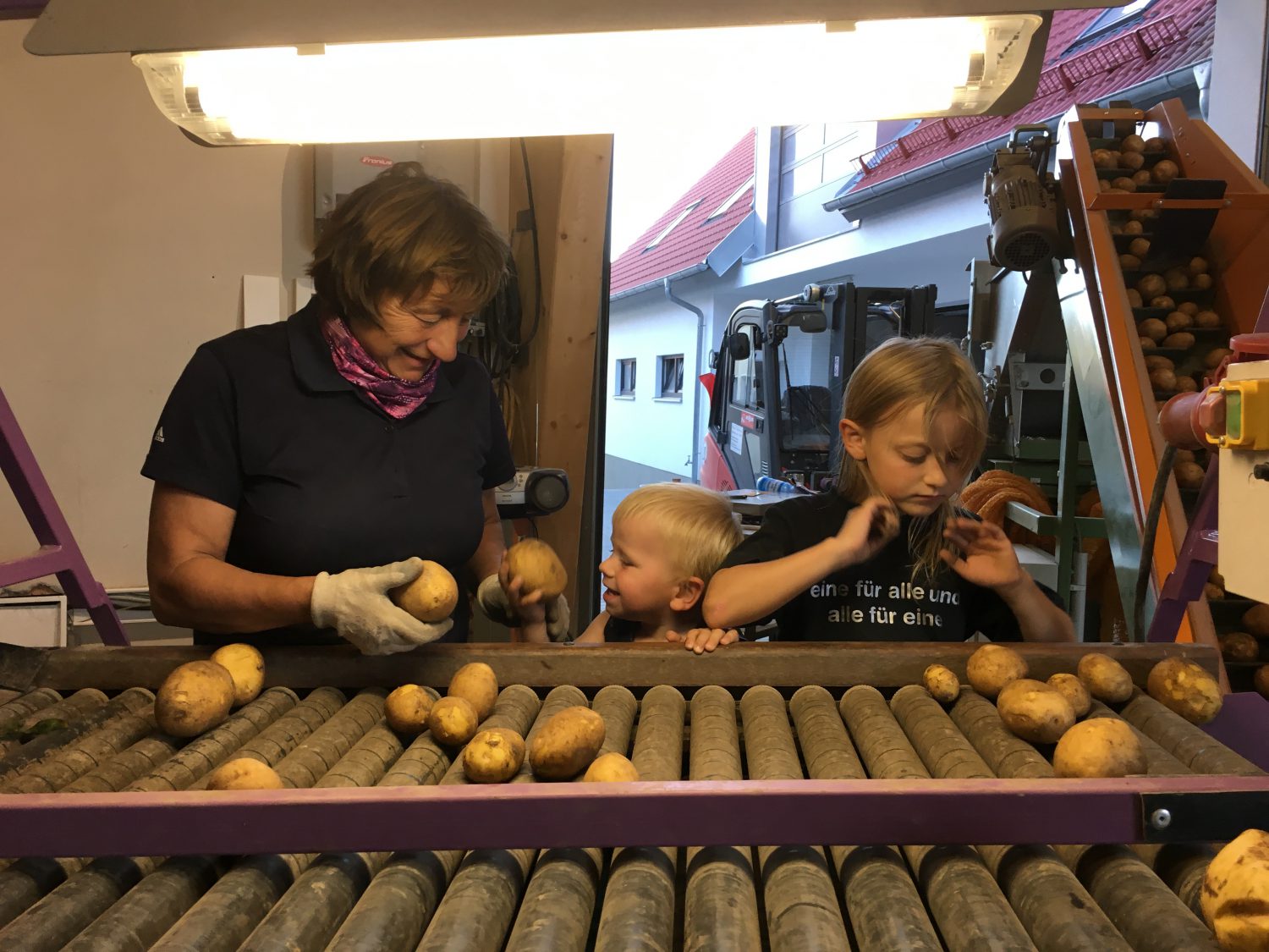 Handverlesen sortiert
